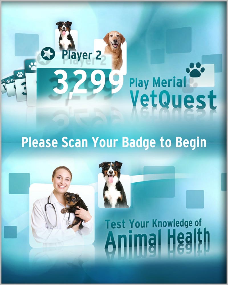 Animal App Video